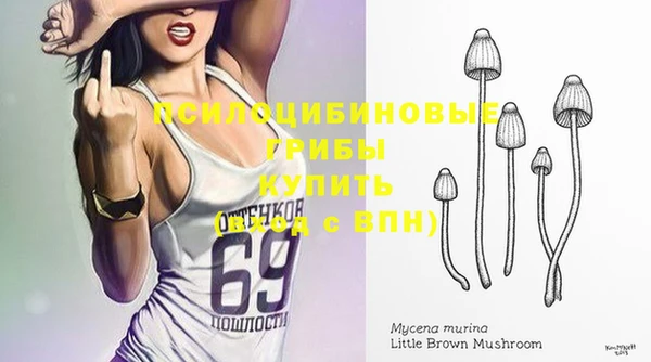 jwh Богородск