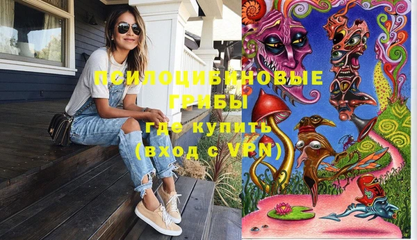 марки lsd Богородицк