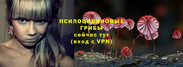 марки lsd Богородицк