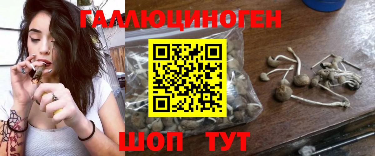 Галлюциногенные грибы MAGIC MUSHROOMS Гудермес
